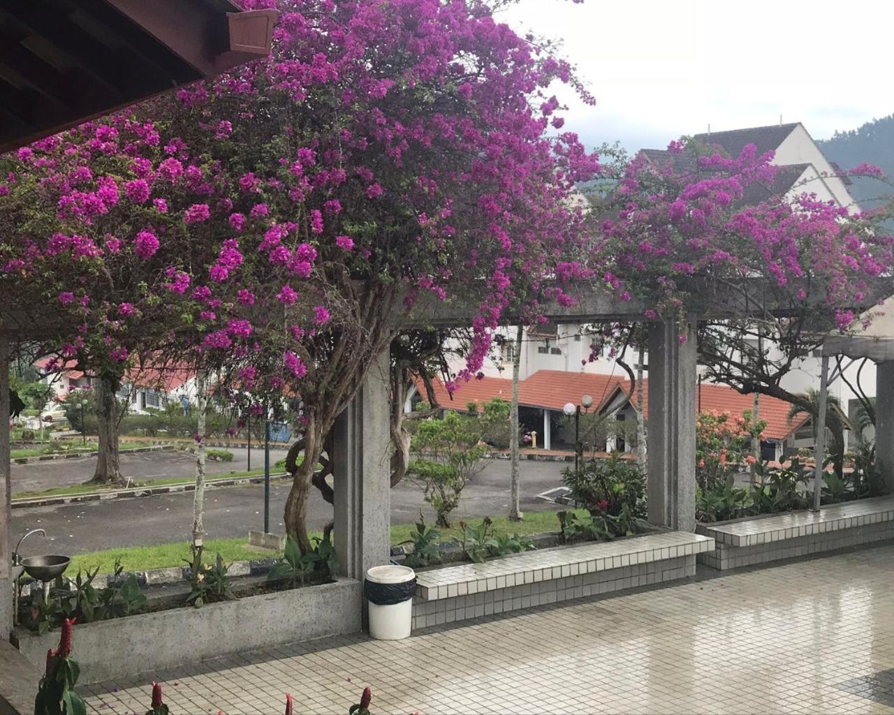 Thatniceplace In Selesa Hillhome, Bukit Tinggi, Bentong, Genting Exterior photo